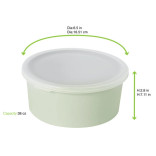 Phoenix Reusable recyled pale green bowl 38oz D:6.5in H:2.8in - 4 pcs Phoenix Reusable recyled pale green bowl 38oz D:6.5in H:2.8in - 4 pcs
